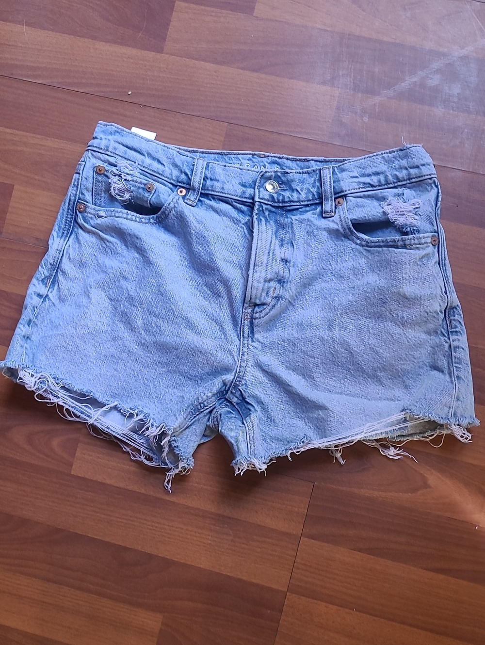 American Eagle Outfitters Light Wash Distressed Denim Shorts